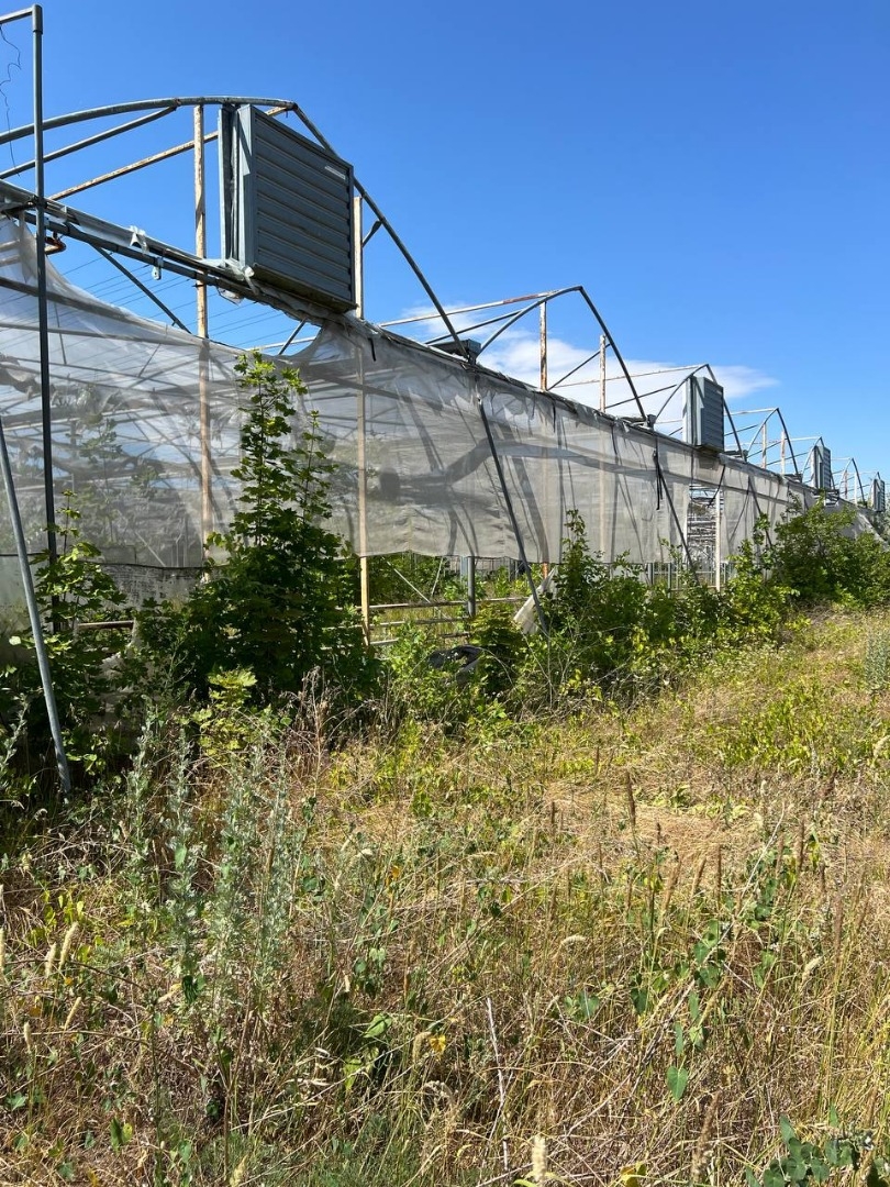 продажа предприятия номер C-174110 в Роксоланах, фото номер 13